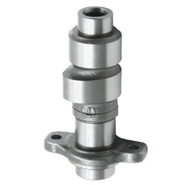 laffoonparts 14101-HC4-750 Cam Camshaft, Replacement for Honda FourTrax 300 TRX300 2x4 TRX300FW 4x4 1988-2000