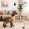 Girihe 6 PCS Cat Wand Toy, Feather Cat Toy Refill
