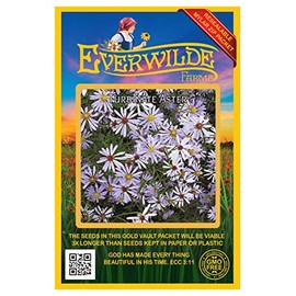 Everwilde Farms - 300 Turbinate Aster Native Wildflower Seeds - Gold Vault Jumbo Seed Packet