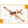 Carl Goldberg Model Airplane Plans (RC): TIGER 2 61" Wingspan