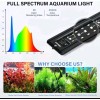 fishkeeper 42W 24/7 Aquarium Light -Full Spectrum, Sunrise/Daylig