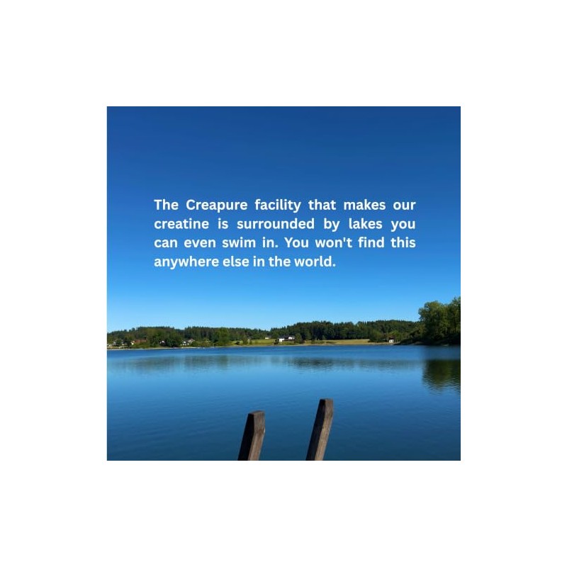Creapure® The Cleanest Creatine Monohydrate 5g in Compostable Sachets (15