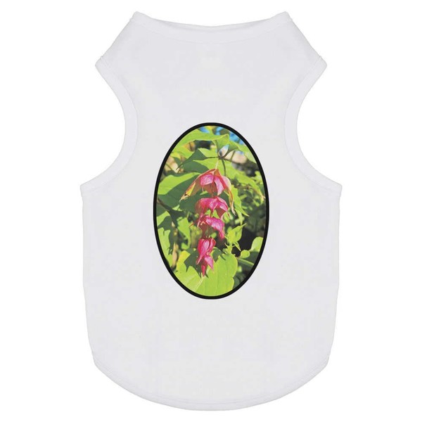 'Himalayan Honeysuckle' Pet Dog/Cat T-Shirt (PT00113353)