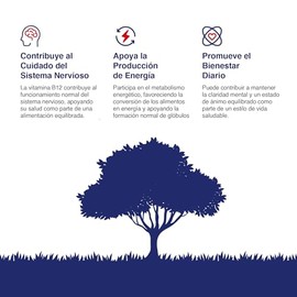 Vitamina B12 Líquida Sublingual Bioganic | Suplemento Alimenticio Sabor Arándano | Presentación Individual | 240 Porciones en envase de 60 ml | Apta p