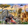 Meecaa Paint by Numbers Animal Lion Tiger Zebra Elephant Bird