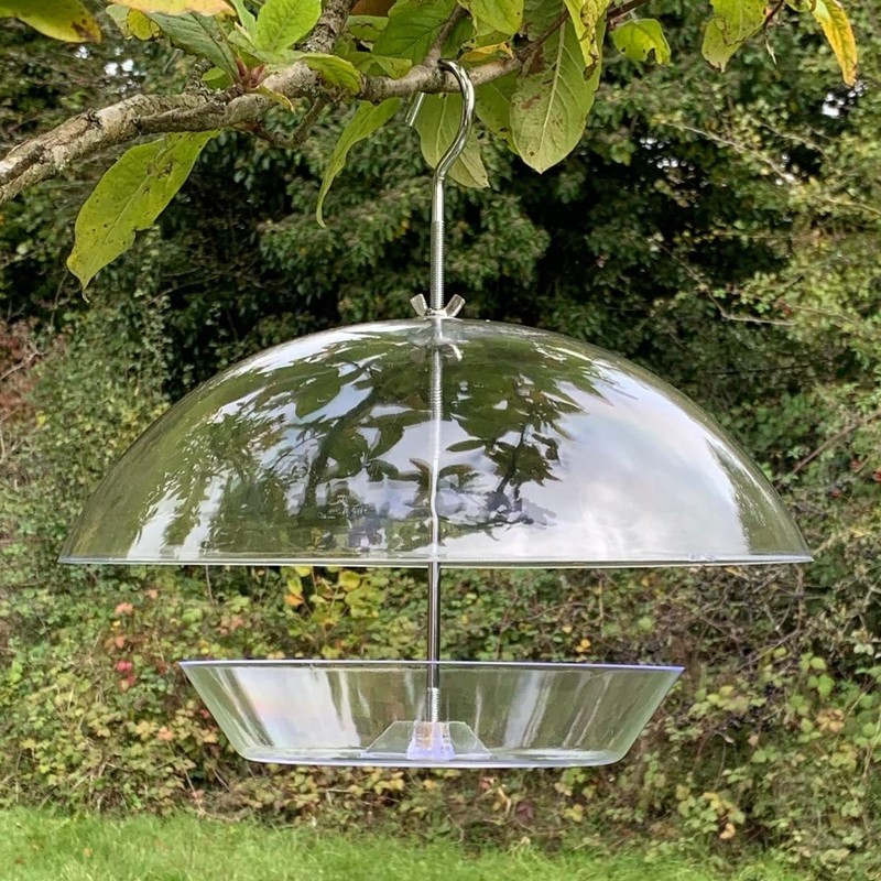 Selections Hanging Clear View Bird Feeder with Integral Squirrel Baffle