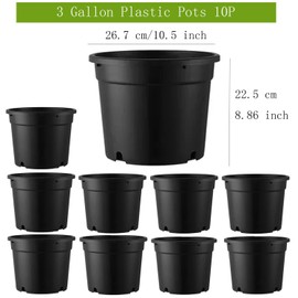 MEJENYY 3 Gallon Pots for Plants, 3 Gallon Nursery Pot for Plants with Drainage Holes, 10 Pack 10 Inch Round Sturdy Plastic Plant Pot Planters for Outdoor Indoor Plants, Flowers, Black