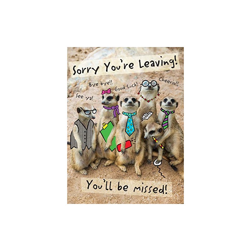 Piccadilly Greetings Modern Large Card Leaving - 12 x 9