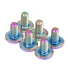 Dingtai Low Head Plum Head Titanium M6x12mm Brake Handlebar Bolts
