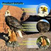 Noegrus 13.2" Real Eagle Statue, Funny Resin Bird Sculpture, Garden