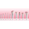 Wet N Wild Makeup Brush
