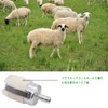 BIUTEFOR Fuel Filter for Grass Trimmers Farm Tools Parts Replacement