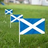 Anley Scotland Mini Flag 12 Pack - Hand Held Small