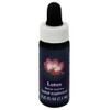 FLOWER ESSENCE SERVICES, Lotus Dropper - 0.25 oz