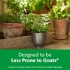 Miracle-Gro Indoor Potting Mix, Blended for a Variety of Houseplants,