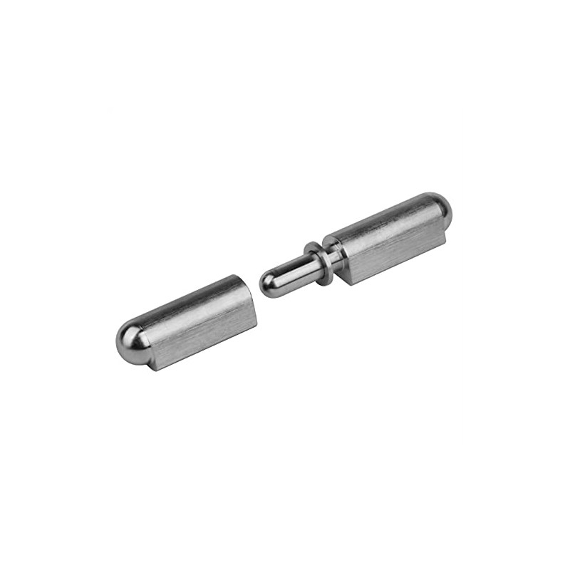 MOUNTAIN_ARK 4 Pack 4" x 3/4" Weld On Bullet Hinges,