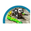 Outward Hound 70" Long Snake Dog Toy w/12X Big Squeakers,