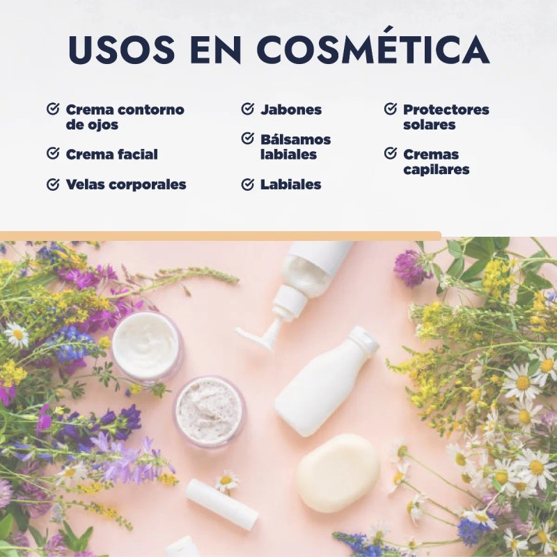 Manteca Karite Organica Natural