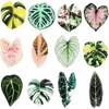 Plant Fridge Magnets,12pcs Leaf Shaped Decorative Magnet,Leaf Magnets for Fridge,Perfectfor