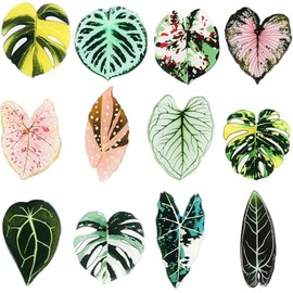 Plant Fridge Magnets,12pcs Leaf Shaped Decorative Magnet,Leaf Magnets for Fridge,Perfectfor Kitchen,Office,School,Locker,Home Decor,Ideal Gift for Plant Lovers.