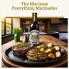 ALLEGRO - The Marinate Everything Marinades | Perfect Marinades for