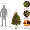 National Tree Company Pre-Lit Artificial Christmas Tree, Dunhill Fir 4.5
