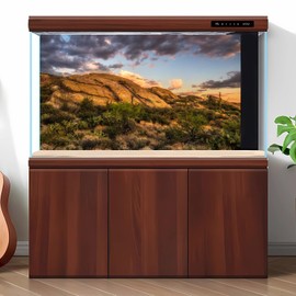 Reptile Terrarium Background Sunset Over Rocks Terrarium Background Reptile Tank Background Desert Thorns Rocky Bush Reptile Habitat Background Bearded Dragon Fish Tank Aquarium Background 48x24in