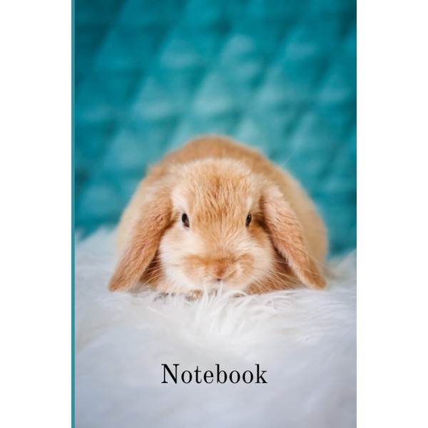 Notebook: Cute Animal Notepad Rabbit Cover Blank Lined Journal (Animal