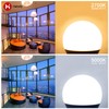 Helloify A19 (A60) 9W Bulbs A19 (60 Watt Equivalent), Energy