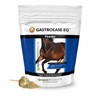 GastroEase EQ™ Complete Digestive Support Powder 2LB