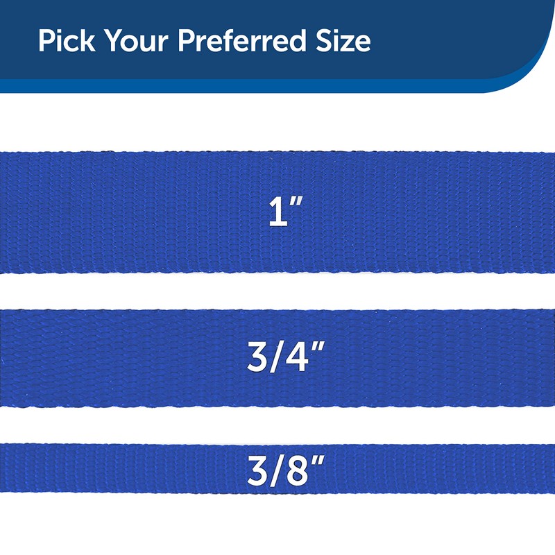PetSafe Nylon Dog Leash - Strong, Durable, Traditional Style Leash