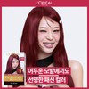 loreal L’Oreal Paris Excellence Parisian Chic 2pcs / 로레알파리 엑셀랑스
