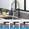Fapully LED Kitchen Faucet with Pull Down Sprayer,Black&Gold Commercial Kitchen