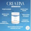 Sheló Nabel Creatina Monohidratada En Polvo 460g