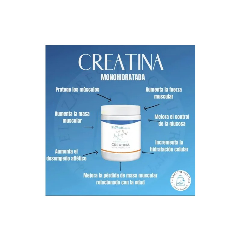 Sheló Nabel Creatina Monohidratada En Polvo 460g