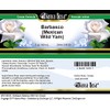 Bianca Rosa Barbasco (Mexican Wild Yam) Cream (2 oz, ZIN: