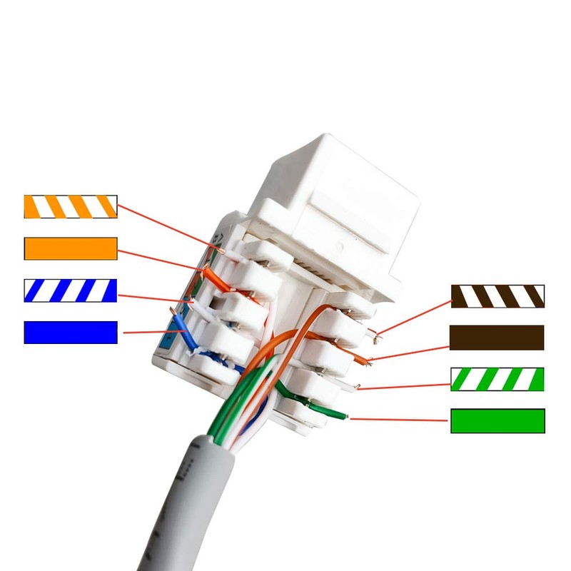 BOPLAT 90 Degree CAT6 Ethernet Coax Wall Plate Punch Down