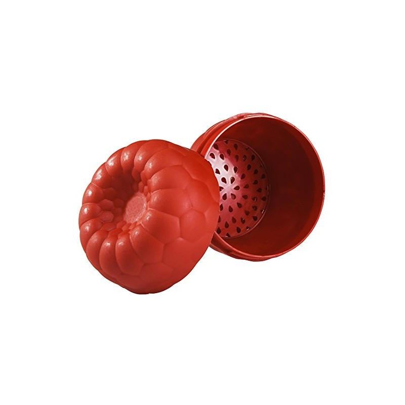 Hutzler Raspberries To-Go Snack Container Bento Box