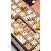 Kinetic Labs Gateron EF Curry Linear Switches - Size: 18