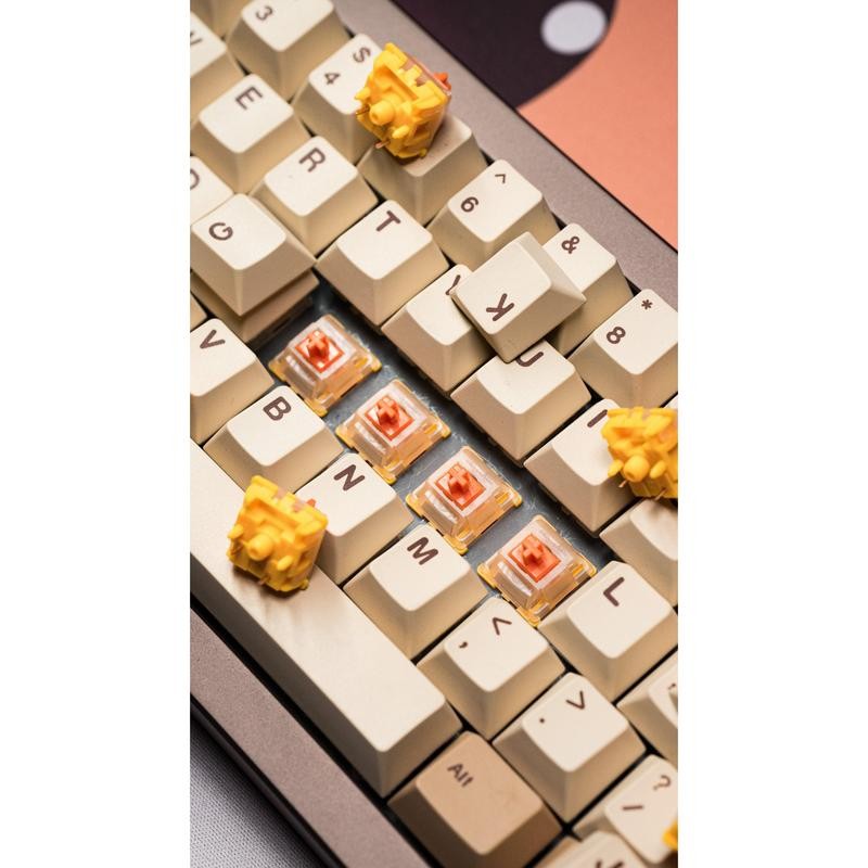 Kinetic Labs Gateron EF Curry Linear Switches - Size: 18