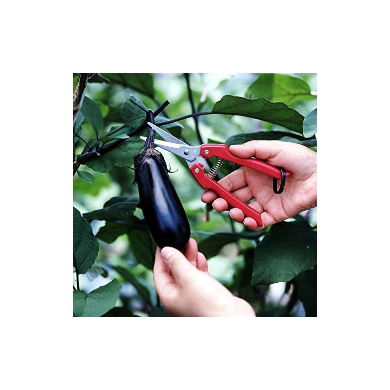 ARS Needle Nose Pruner HP-SE45-2 Pack