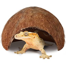SunGrow Crested Gecko Coconut Huts, 5x3 Inches Reptile Climbing Hide, Leopard Gecko Tank Cage Habitat Accessories, Smooth-Edged Coconut Shell for Exercise, Crawling, Perching and Basking Spot