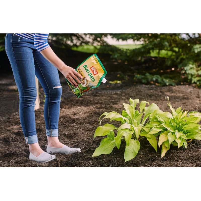 Ortho Bug-Geta Snail & Slug Killer2