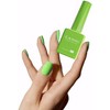 CANNI- Esmalte de uñas en gel verde lima pastel, 1