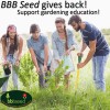 Beauty Beyond Belief Premium Drought Resistant Wildflower Seeds Bulk Mix