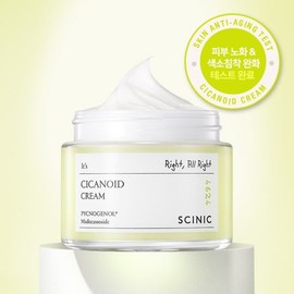1+1 Scinic Cycanoid Cream 80ml / 1+1 싸이닉 시카노이드 크림 80ml