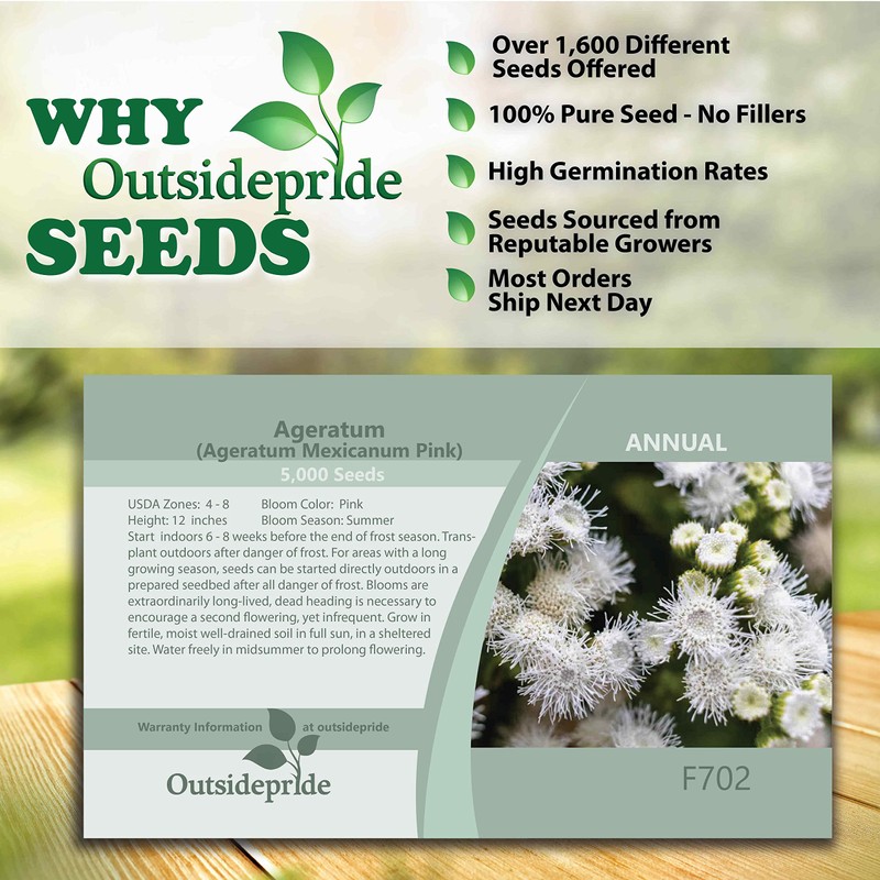Outsidepride 5000 Seeds Annual Ageratum White Flower Seeds for Planting