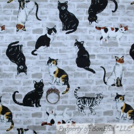 Maywood Studio BonEful Fabric FQ Cotton Quilt Black White B&W Kitty Cat Brick Wall Pet Vet Sale