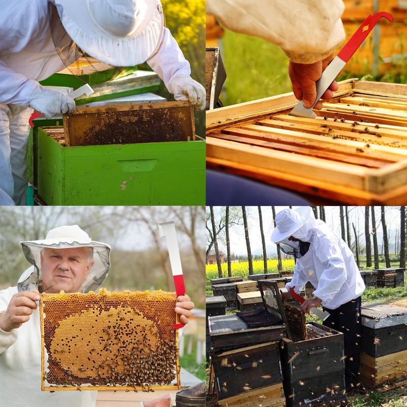 PACIOCEAN 2 Pack Stainless Steel Hive Tool J Hook Bee