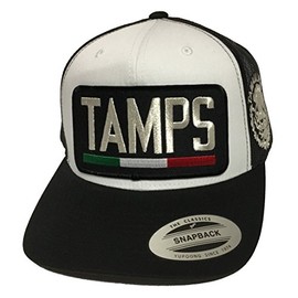 Mexico Tamaulipas {tams} Logo Federal 2 Logos All Silver hat White Blank mesh